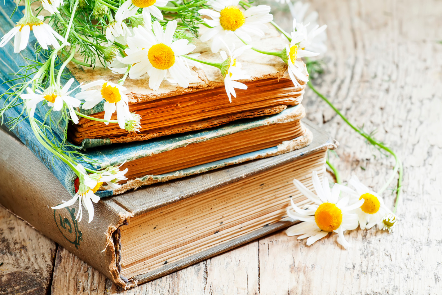 Old books, bouquet of field daisies