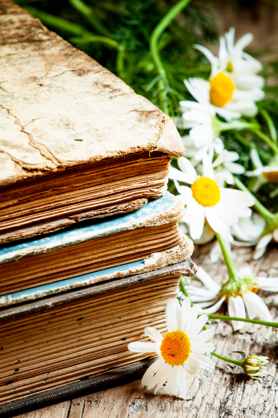 Old books, bouquet of field daisies