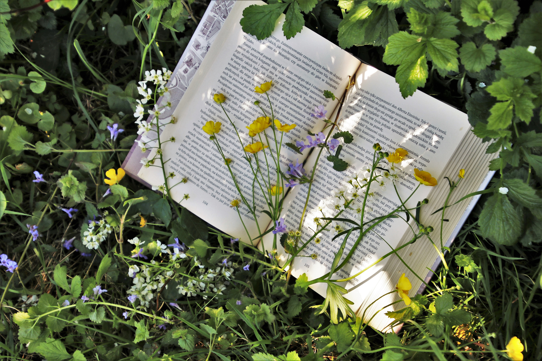 Open Book Among Wildflowers